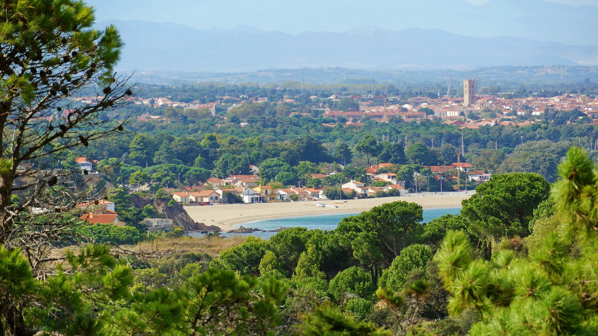 fedebon-annuaire-commercant-perpignan-pyrenees-orientales-cci-66-bon-achat-commercant-association-comite-entreprise